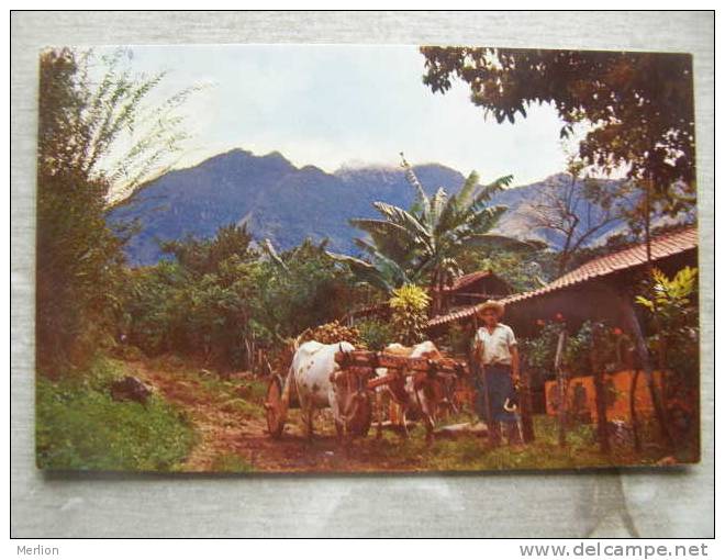 Costa Rica -  Mountain Scene - Ox -cart     D91305 - Costa Rica