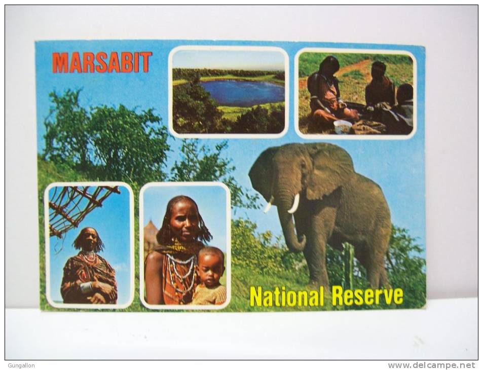 Marsabit National Reserve  (Kenya) - Kenya