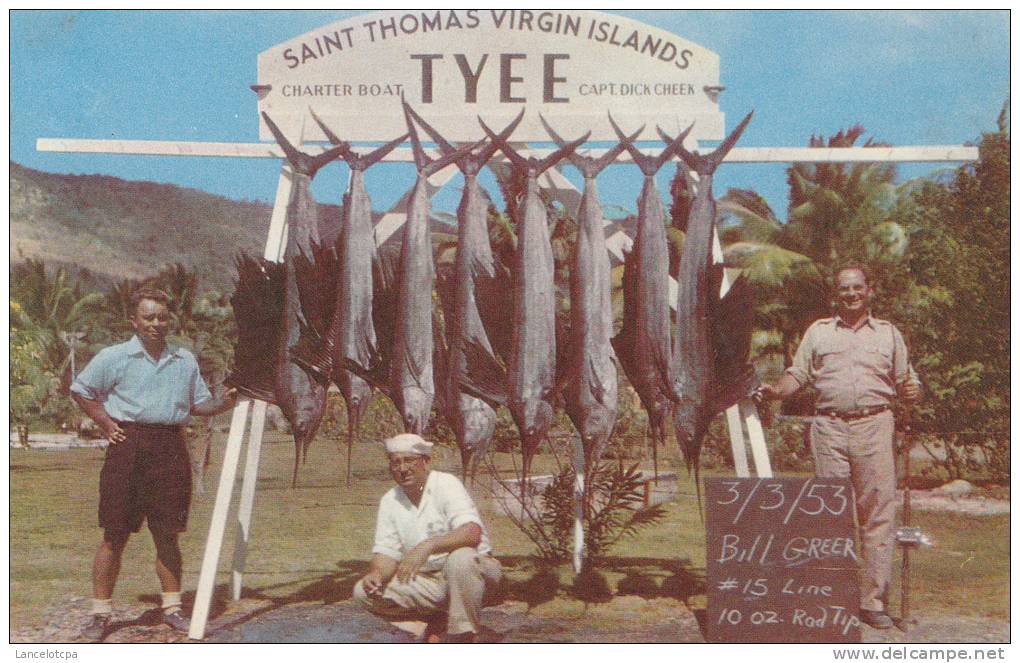 VIRGIN ISLANDS / SAINT THOMAS / PECHE AU GROS - Virgin Islands, US