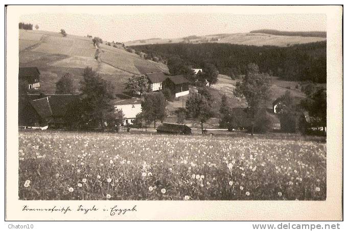 SEYDE - Lot De 5 CARTES-PHOTOS écrites De SEYDE - Cartes Bon état - Hermsdorf