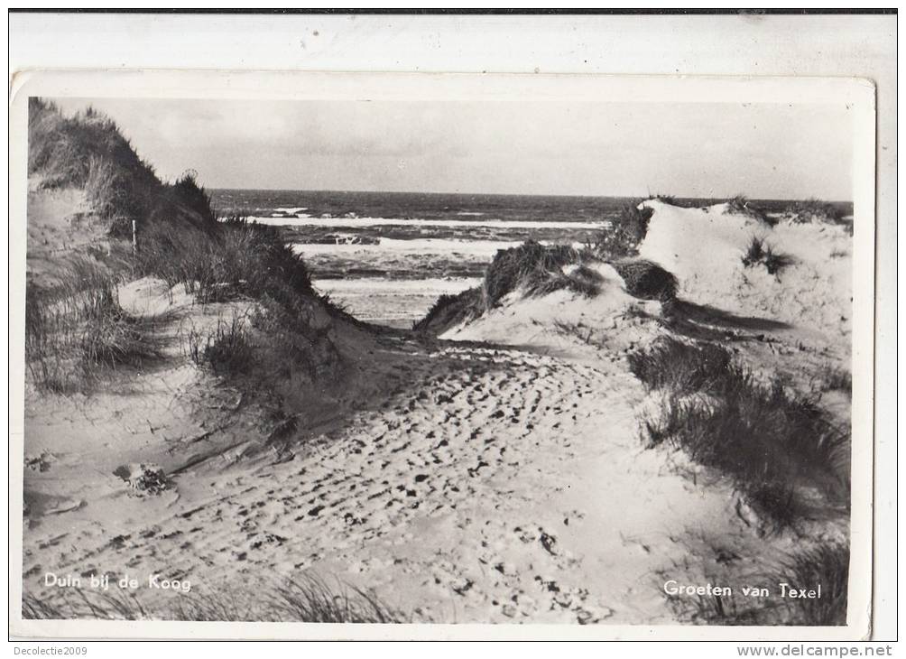 BR46761 Dulln Bij De Koog Groeten Vn Texel   2 Scans - Texel