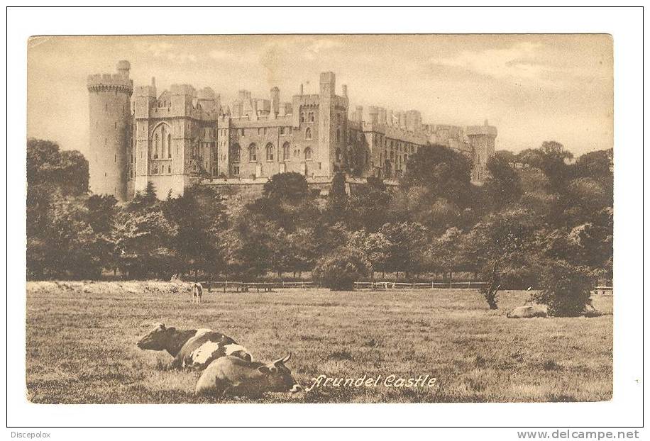 G1993 Arundel Castle - Old Mini Card / Non Viaggiata - Arundel