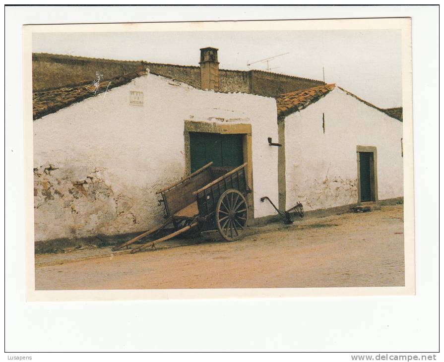 Portugal Cor 19782 - CRATO - FORNO E CARROÇA DE OLEIRO NA FLOR DA ROSA - Portalegre