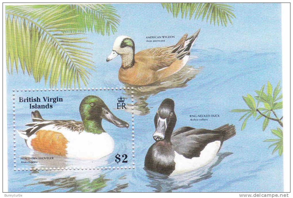 Virgin Islands 1988 Birds Ducks S/S MNH - Britse Maagdeneilanden