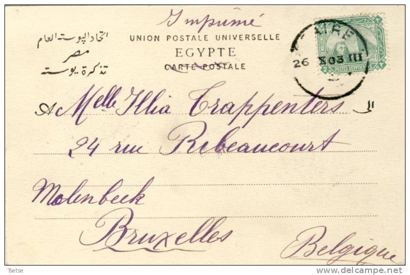 Le Caire - Sphynx - 1903 ( Voir Verso ) - Le Caire