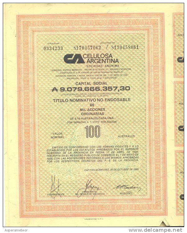 CELULOSA ARGENTINA 1 TITULO DE 1000 ACCIONES ORDINARIAS CAPITAN BERMUDEZ 1989 TITRE SHAREHOLDING PAPER CELULOSA Y PAPEL - Industrie