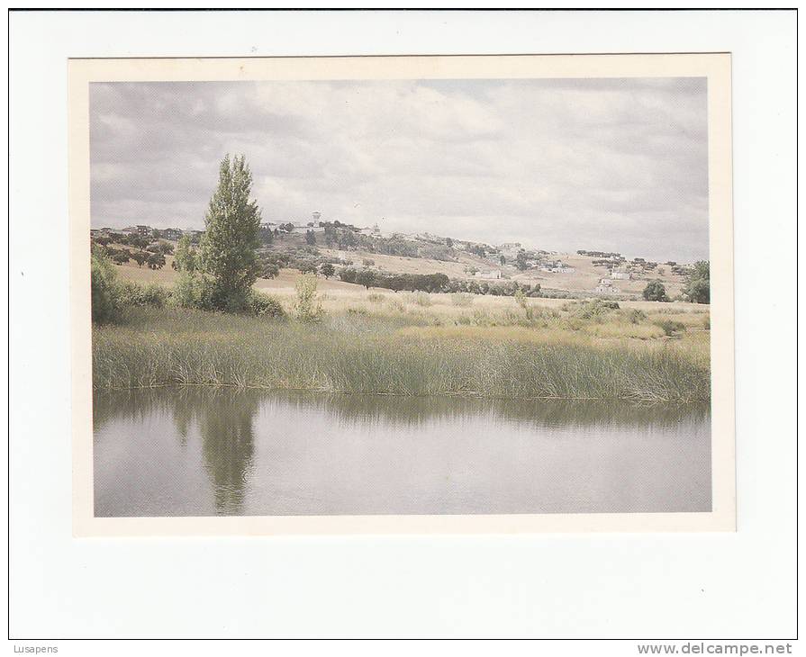 Portugal Cor 19819 - MONFORTE - VISTA - Portalegre