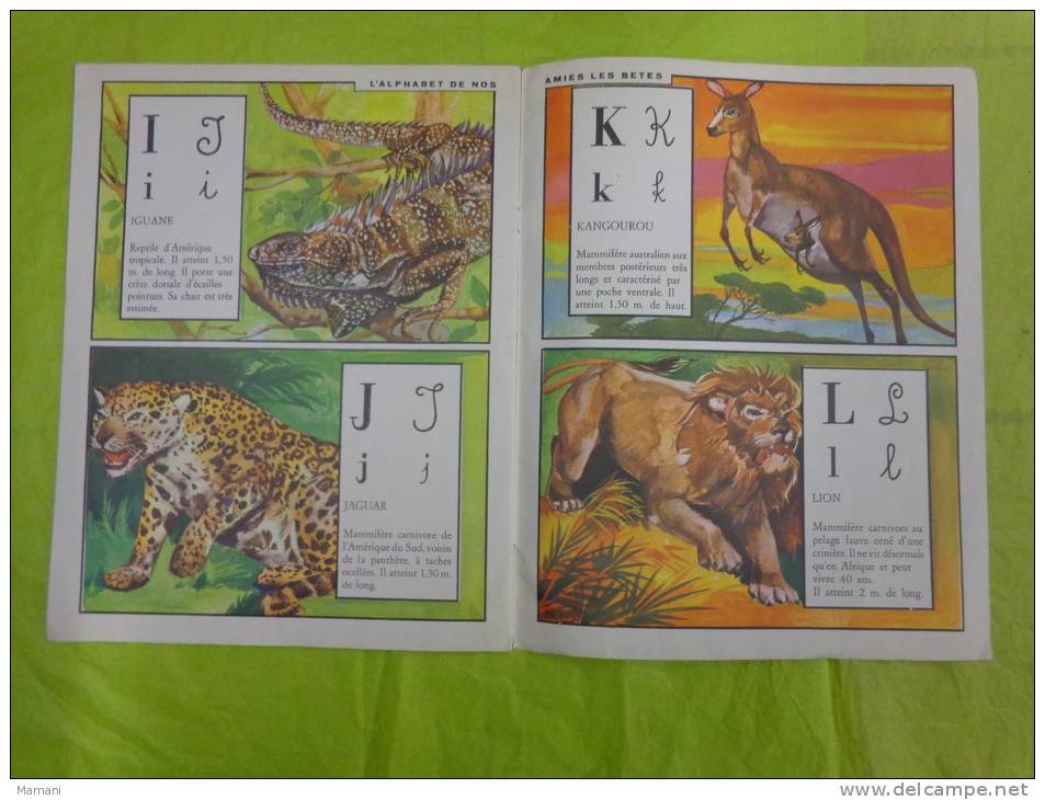 Picipouk -jeux Et Aventures D'un Petit Ours-juillet 1966 Editeur Ponzoni-iguane-jaguar-kangourou-lion - Autres & Non Classés