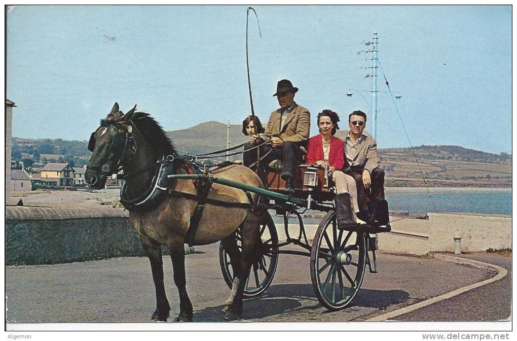 6059 - Irish Jaunting Car - Autres & Non Classés