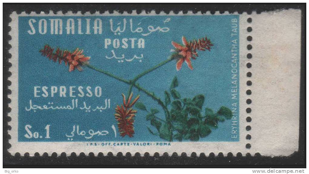 Somalia A.F.I.S. (Amministr. Fiduciaria Italiana) - ESPRESSO Fiori: Eryhrina Melan. Taub - 1 S - 1955 - Somalia (AFIS)