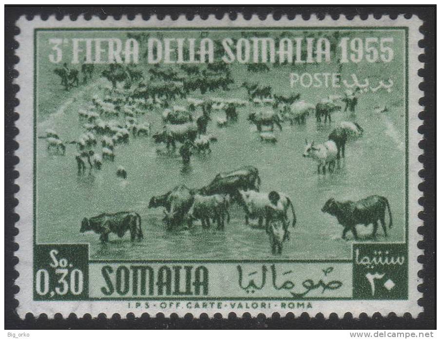 Somalia A.F.I.S. (Amministrazione Fiduciaria Italiana) - 3^ Fiera Della Somalia: 30 C. - 1955 - Somalia (AFIS)