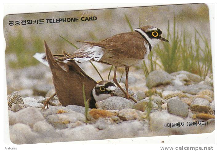 SOUTH KOREA - Birds, Little Ringed Plover(reverse Letter W At Centre, W3000, 07/97, Used - Corea Del Sud