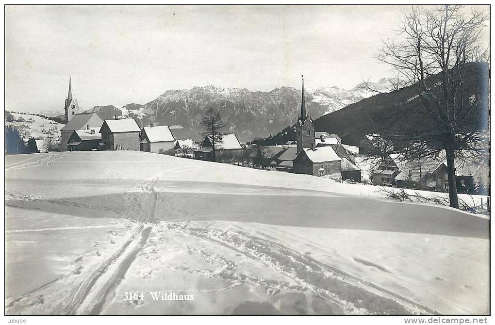 Wildhaus - Von Der Loipe Aus Gesehen          Ca. 1920 - Wildhaus-Alt Sankt Johann