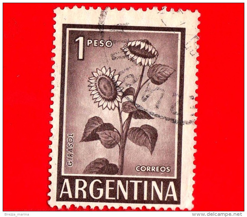 ARGENTINA - Usato - 1960 - Fiori - Girasole - Sunflower - 1 - Oblitérés
