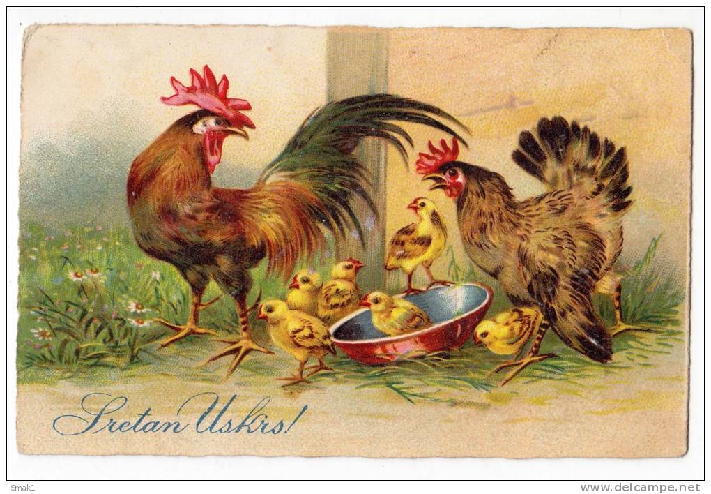 EASTER CHICKEN AMAG Nr. 2582 OLD POSTCARD - Easter