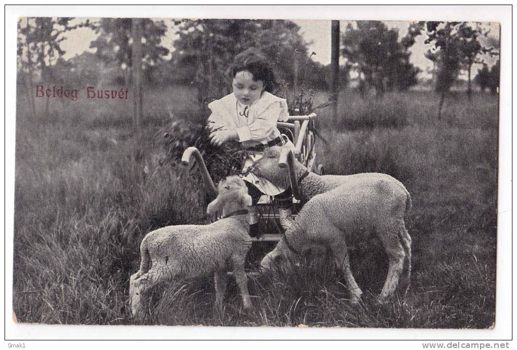 PHOTOGRAPHS CHILDREN A GIRL WITH SHEEP Nr. 886 OLD POSTCARD 1909. - Photographs