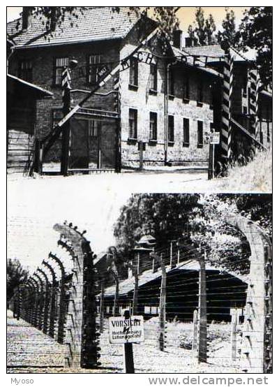 AUSCHWITZ Porte Principale Du Camp Fragment De L'enceinte Du Camp - Guerre 1939-45