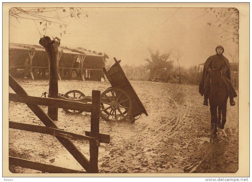 Planche Du Service Photographique Armée Belge Guerre 14-18 WW1 Militaire Abri Pour Chevaux Ransbrugge - Altri & Non Classificati