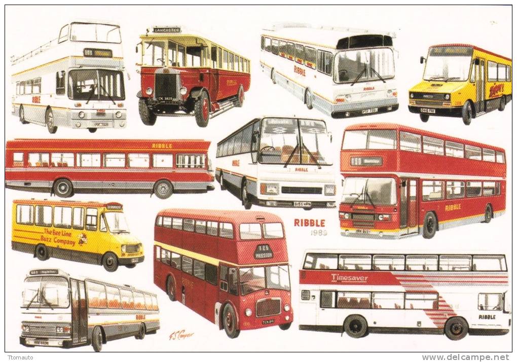 Ribble Motor Services - 70 Years Operation 1989   -  Artwork By G.S.Cooper - Bus & Autocars