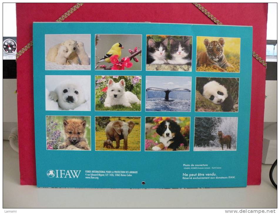 Calendrier - IFAW Campagne Pour Les Sanctuaires Animaliers-  2011 ( Tous Comme Neuf ) - Grand Format : 2001-...