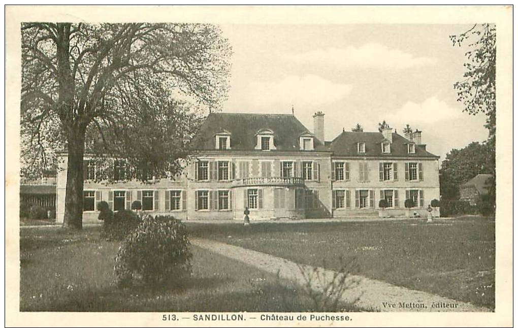 45 SANDILLON CHATEAU DE PUCHESSE - Other & Unclassified