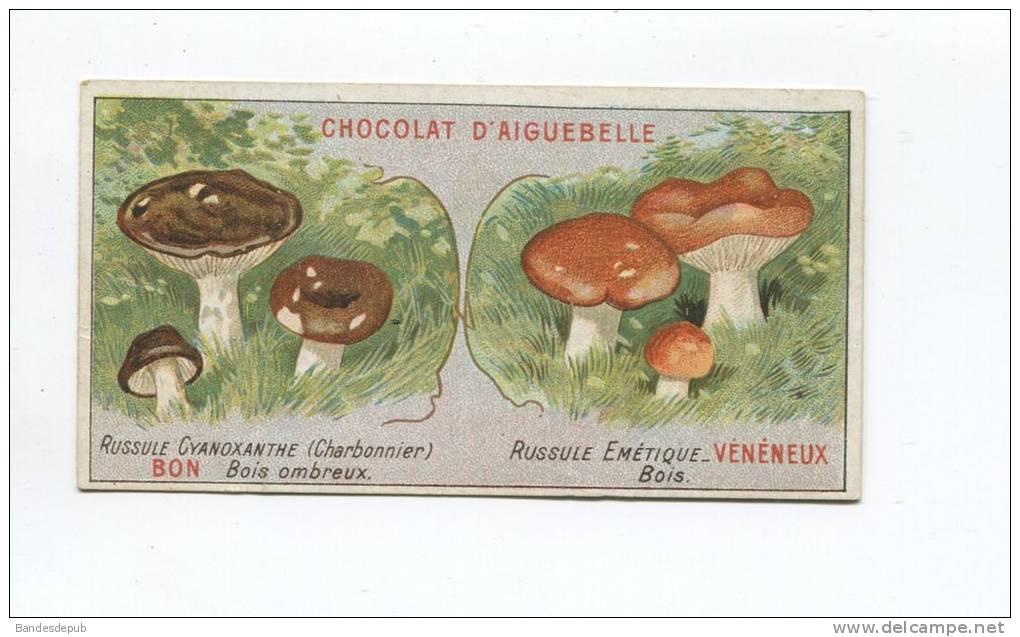 AIGUEBELLE CHROMO CHAMPIGNON RUSSULE - Aiguebelle