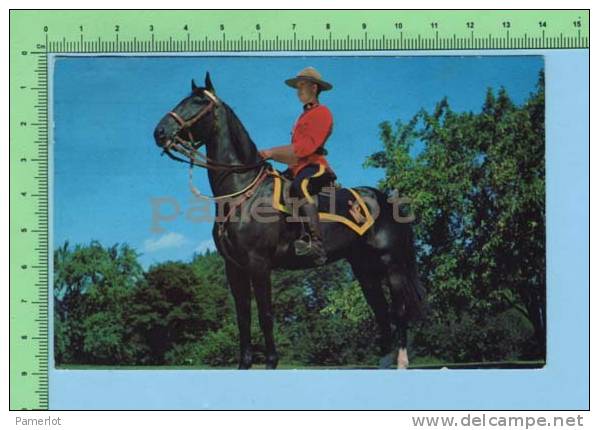 Canada Vancouver ( Royal Canadian Mounted Police ) Post Card Carte Postale - Police - Gendarmerie