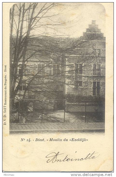 Diest : Moulin Du Ezeldijk D.V.D 5417 - Diest