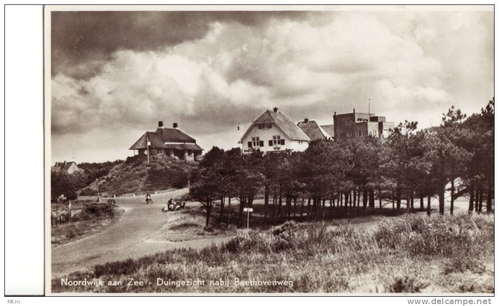 Duingezicht Nabij Beethovenweg - Noordwijk (aan Zee)