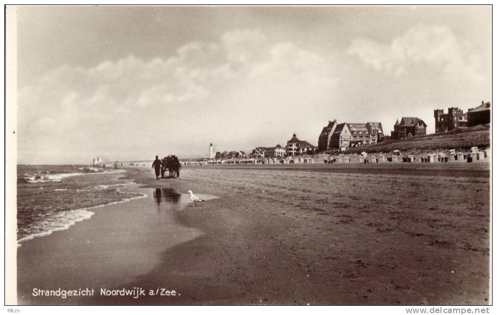 Strandgezicht - Noordwijk (aan Zee)