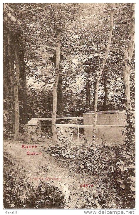 JETTE-PARC  DU SACRE-COEUR - Jette