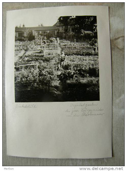 Bavaria - DINKELSBÜHL    - Ca 1950's - Real Photo  RPPC   D92006 - Dinkelsbuehl