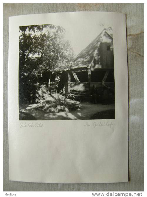 Bavaria - DINKELSBÜHL    Im Spitalhof- Ca 1950's - Real Photo  RPPC   D92007 - Dinkelsbuehl