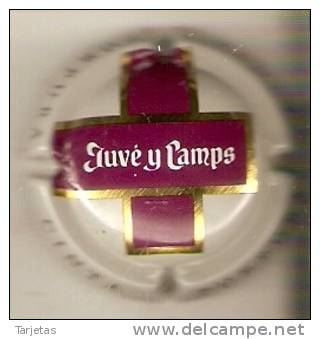 PLACA DE CAVA JUVE CAMPS CINTA PURPURA   (CAPSULE) - Placas De Cava