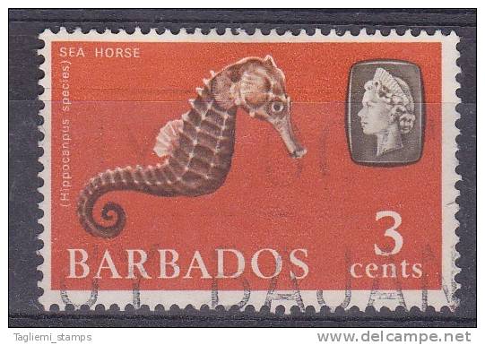 Barbados, 1965, SG 324, WM Upright - Barbados (...-1966)