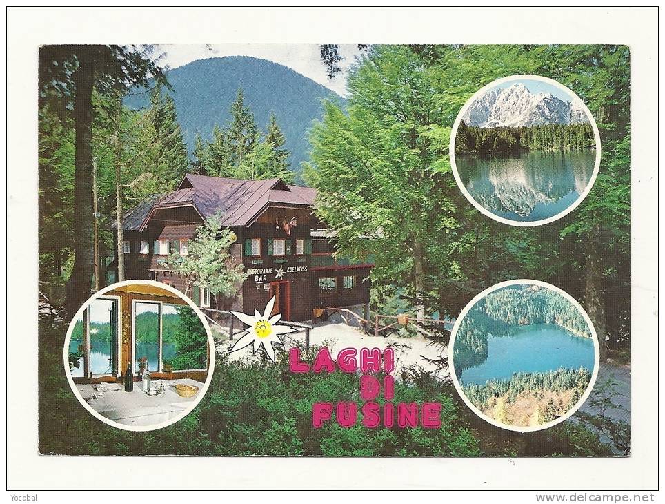 Cp, Commerce, Albergo Ristorante Edelweiss - Fusine (Italie), Multi-Vues,voyagée 1989 - Ristoranti