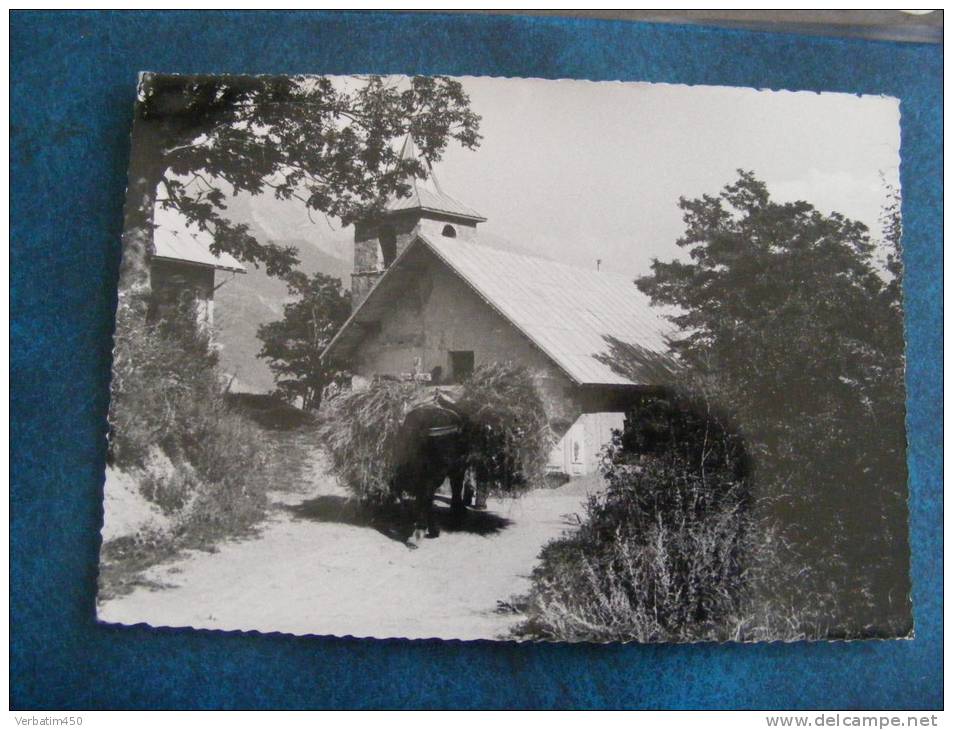 CP... JARRIER..ENVIRONS DE ST JEAN DE MAURIENNE..L EGLISE....CHEVAL OU ANE AVEC FAGOTS..1956 - Autres & Non Classés