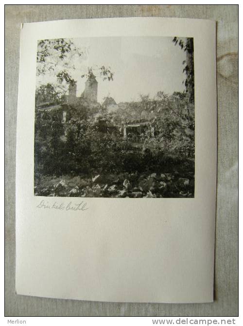 Bavaria - DINKELSBÜHL    - Ca 1950's - Real Photo  RPPC   D91999 - Dinkelsbuehl