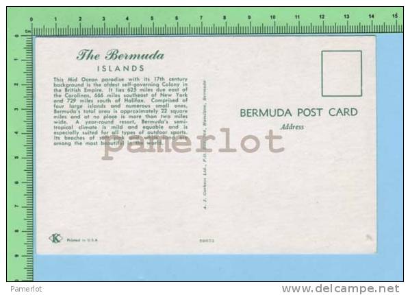 Greetings From (  Bermuda Island Armoirie ) West Indies Post Card Carte Postale - Cartes Géographiques