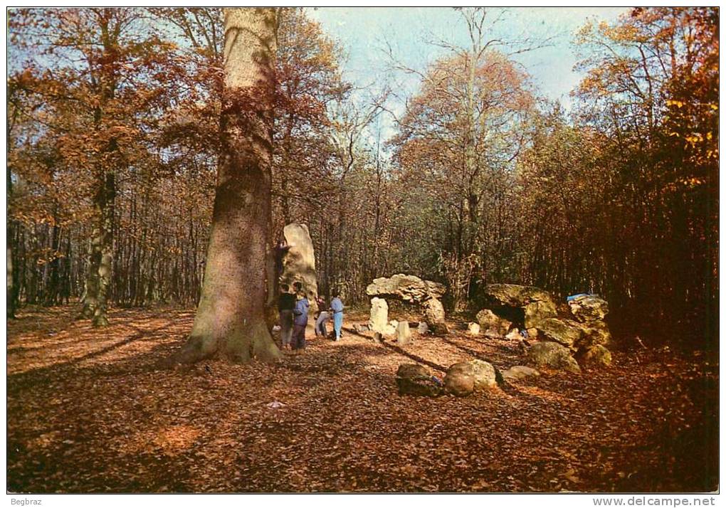 BOIS DE CHAVILLE    MEGALITHE - Dolmen & Menhirs