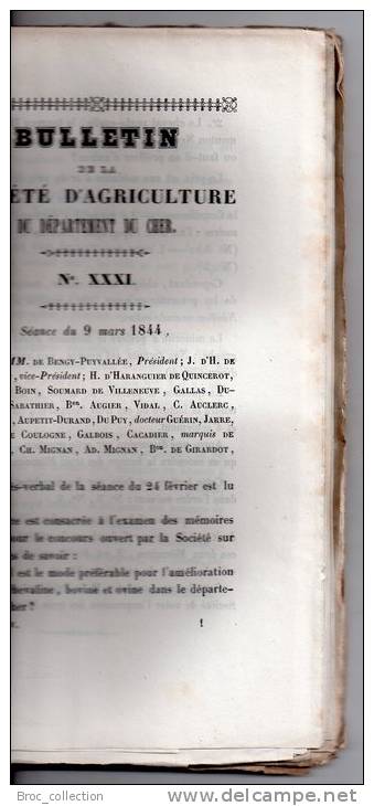 Bulletin De La Société D´Agriculture Du Département Du Cher N° XXXI, 1844, Amélioration Races Chevaline, Bovine, Ovine - Centre - Val De Loire