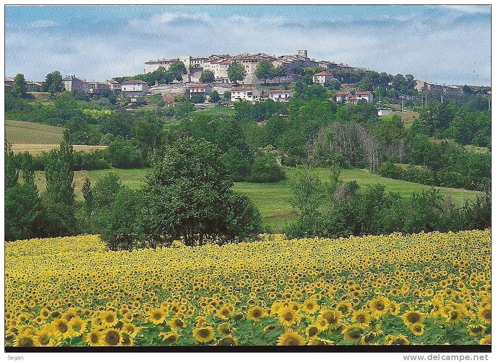 CASTELNAU DE MONTMIRAIL  VUE GENERALE  BEL ETAT - Castelnau De Montmirail