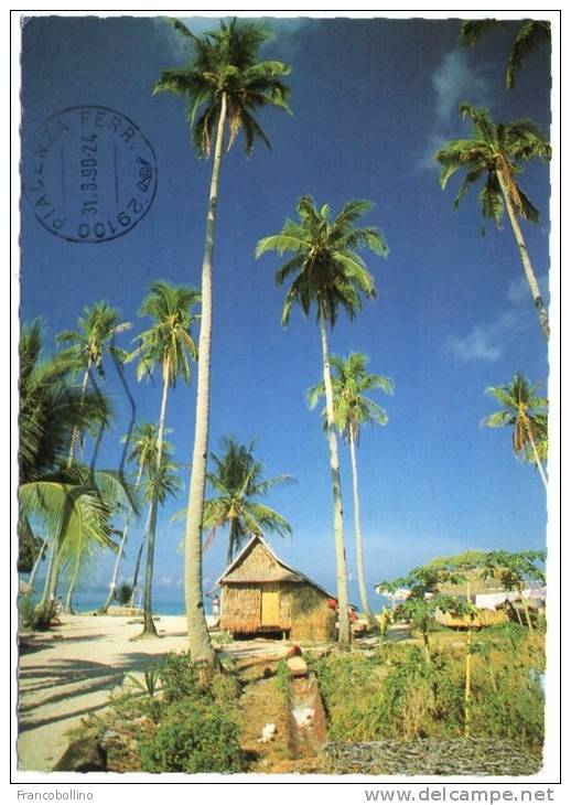 PHILIPPINES - NIPA HUT AND PALM TREES ALONG BORACAY BEACH - Philippinen