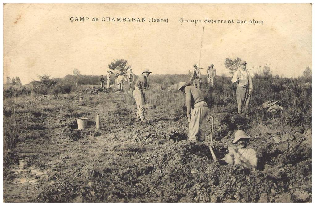 38 - Camp De CHAMBARAN - Isère - Groupe Déterrant Des Obus - Autres & Non Classés