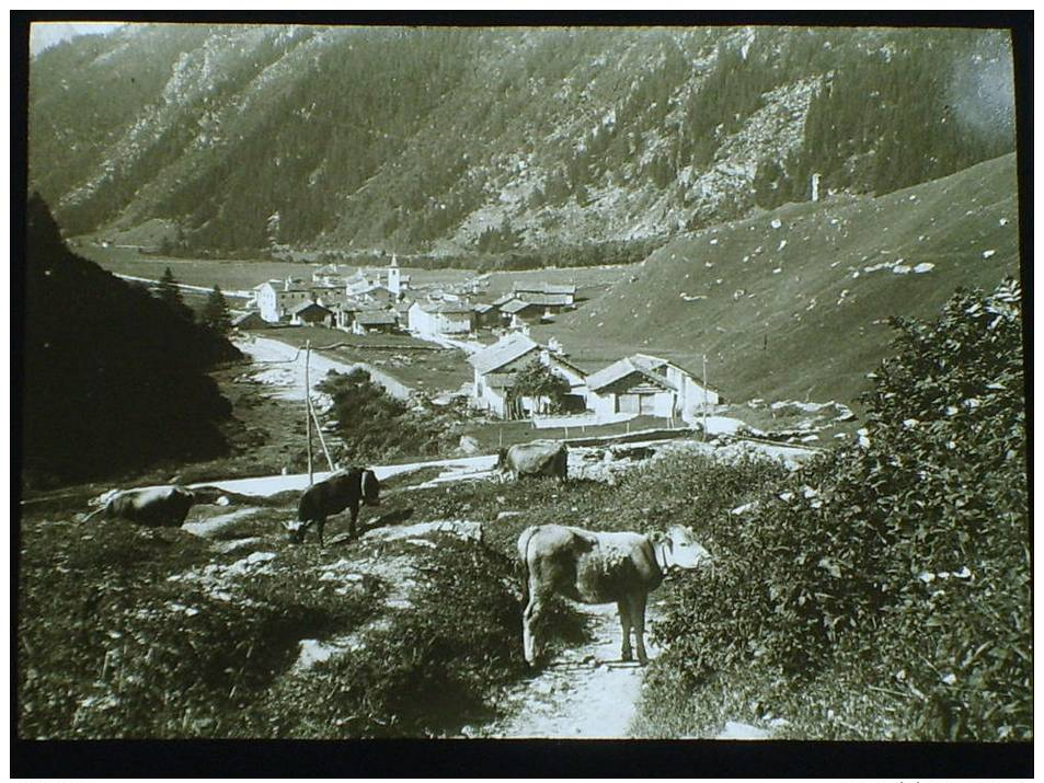 Photo Plaque De Verre . N Et B , Positif. Suisse. Casaccia. Val Bregaglia.  N°1943 - Glass Slides