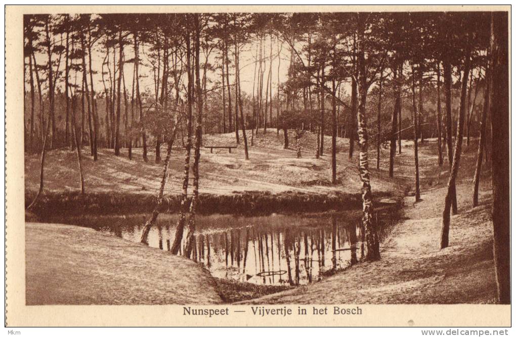 Vijvertje In Het Bosch - Nunspeet