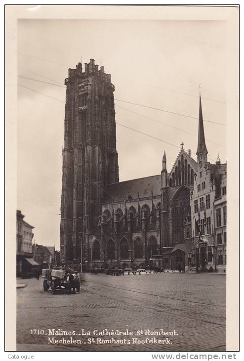 CPA PHOTO   BELGIQUE -MALINES - Cathédrale St Rombaut - Mechelen