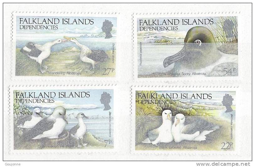 FALKLAND   DEPENDANCE  Faune Oiseaux   141 144** - Marine Web-footed Birds