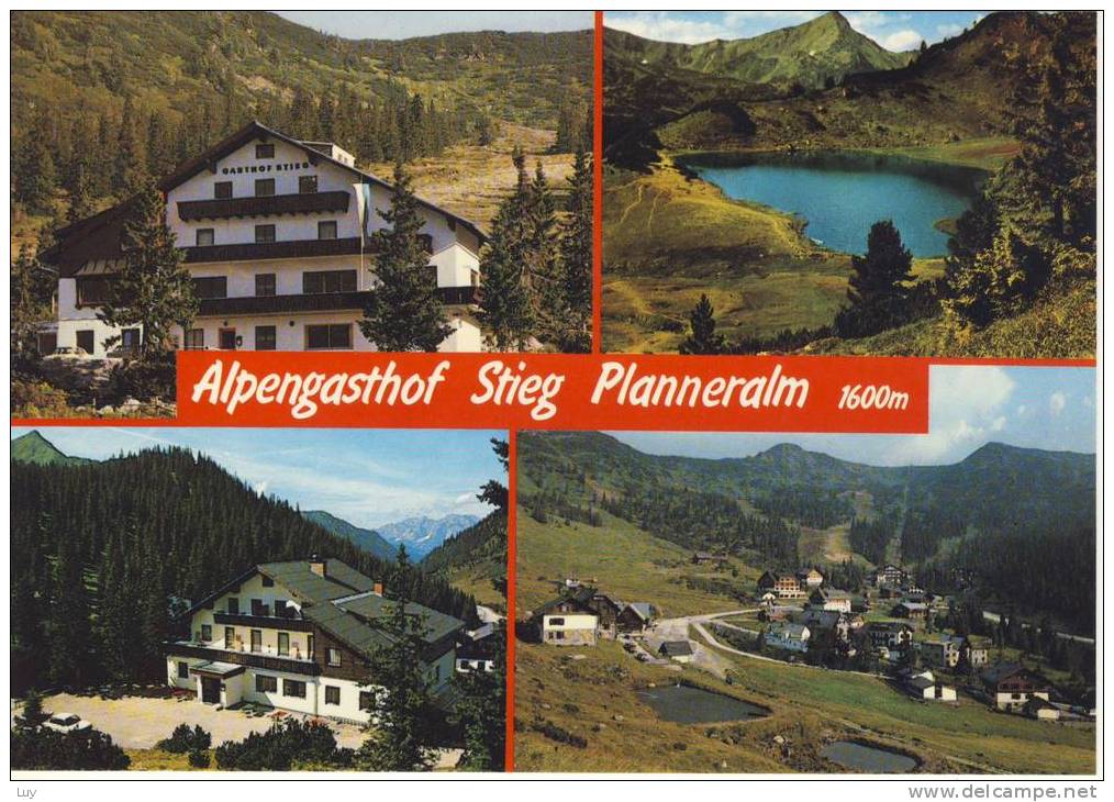 DONNERSBACH - Gasthof STIEG, Pension Grimmingblick,  Planneralm, Mehrfachbildkarte - Donnersbach (Tal)