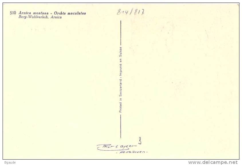 BELGIQUE CARTE MAXIMUM   NUM.YVERT  814 FLEURS   ARNICA - 1934-1951